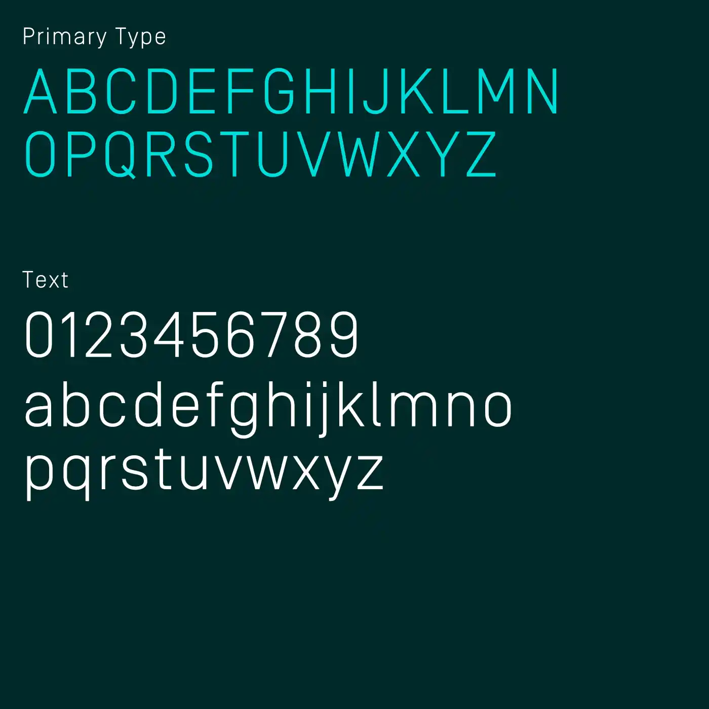 Fischer Smits - Brand Design Typografie
